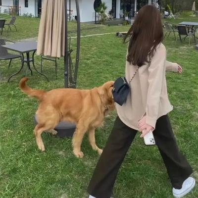 她的伪装