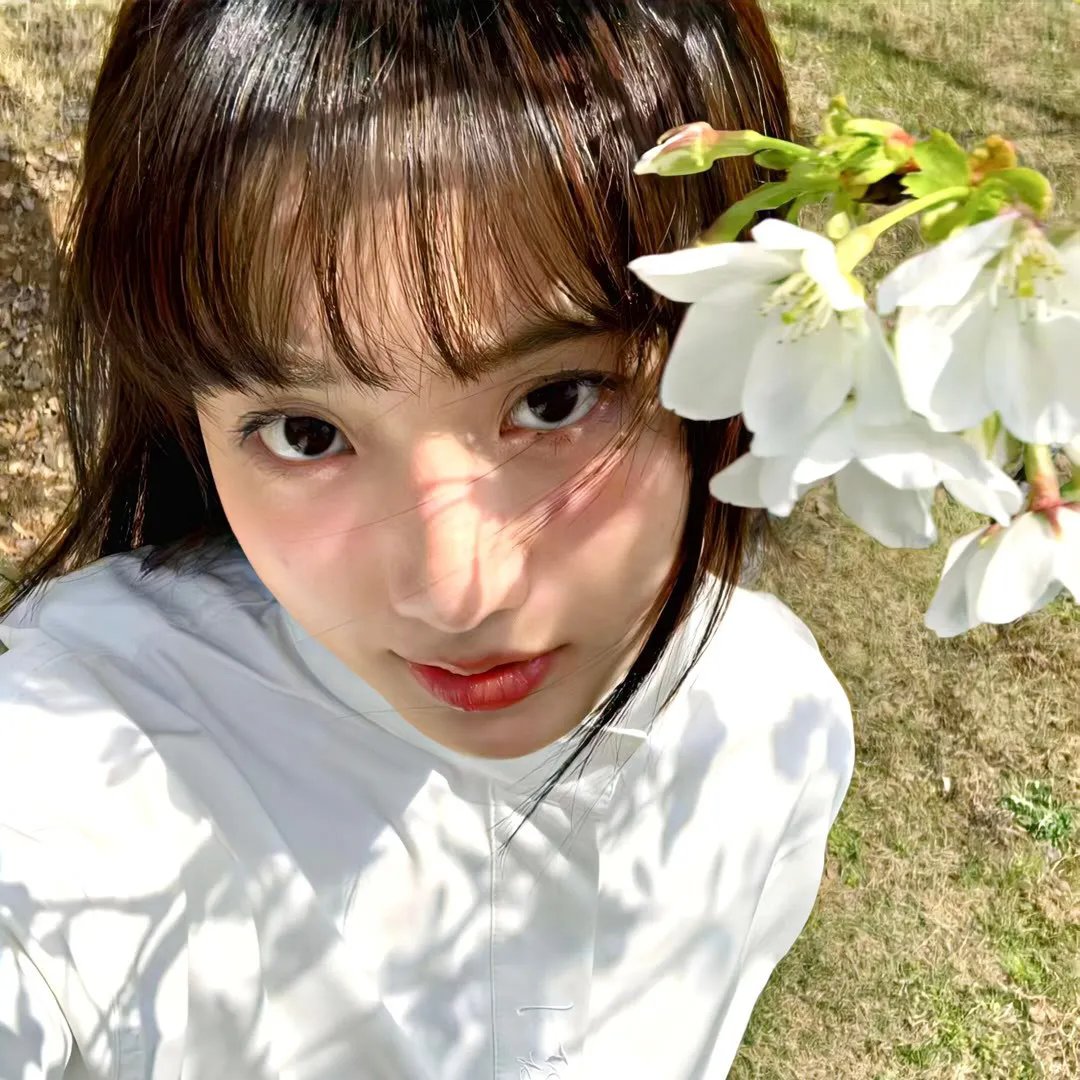 雪中的奇羊